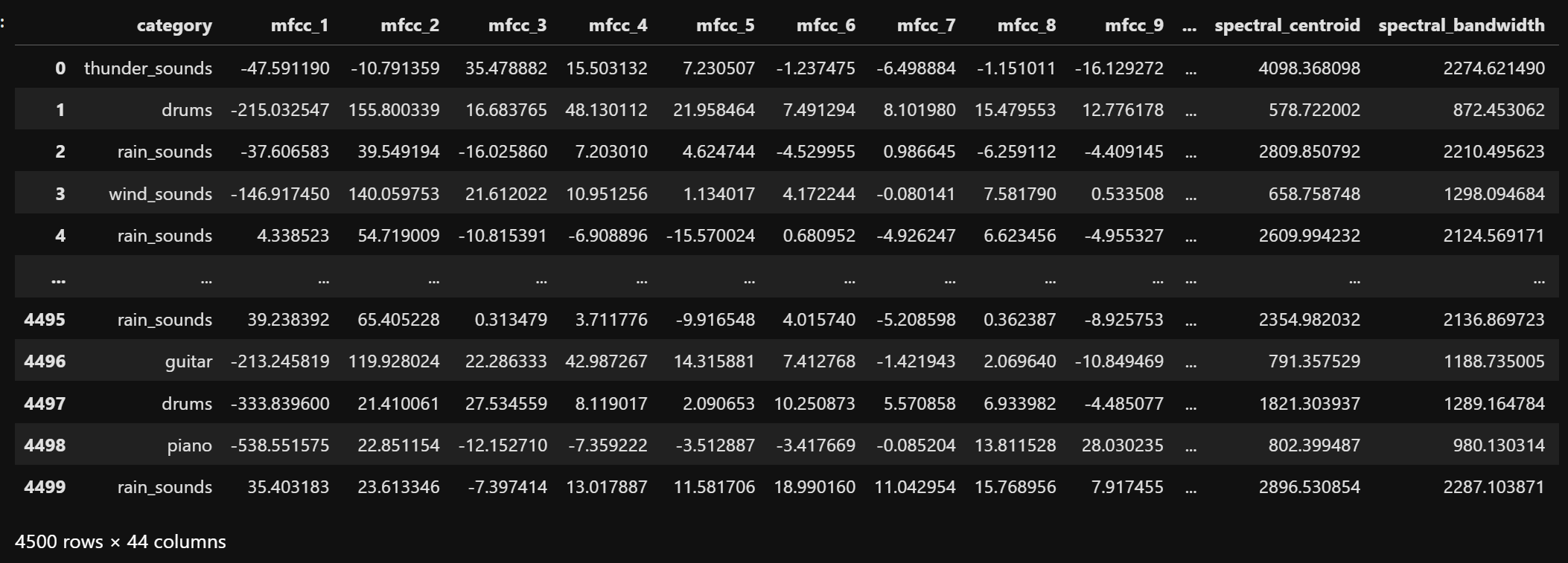 Raw Dataset View